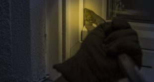 Diefstallen uit tuinhuizen, garages, stallen,