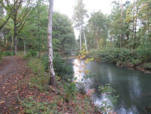 GroenRand tevreden over parkendecreet2