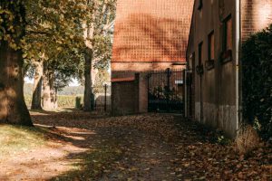 Wandel mee en ontdek natuurpracht op de trage wegen in Essen