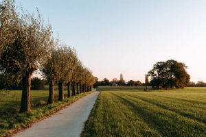 Wandel mee en ontdek natuurpracht op de trage wegen in Essen