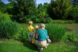 Arboretum Kalmthout winnaar RHS Overseas Partner Garden of the Year2
