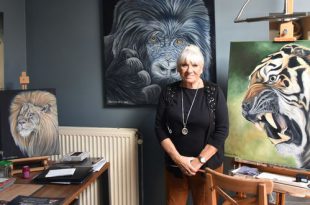 Corinne Claes - Mijn Dierenrijk - tekenen schilderen - SOLO-tentoonstelling