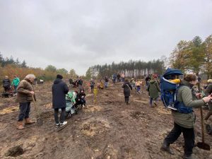 Ouders planten boompje in geboortebos