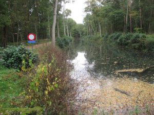 VN-conferentie Montreal over biodiversiteit: Vlaanderen zal tandje moeten bijsteken