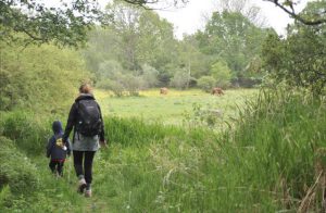 VN-conferentie Montreal over biodiversiteit: Vlaanderen zal tandje moeten bijsteken