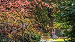 Bart Moeyaert schrijft tuingedicht voor Arboretum Kalmthout3