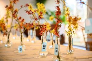 Hamamelisfeesten betoveren in Arboretum Kalmthout