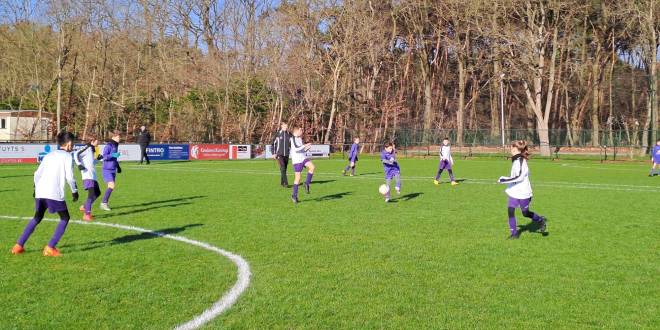 U11 speelt op supergrasmat van KSV Wildert