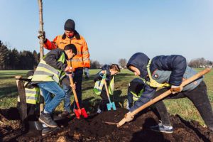 Gooreindse lagere scholen helpen bomen planten2