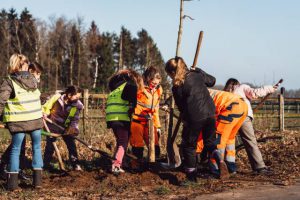 Gooreindse lagere scholen helpen bomen planten3