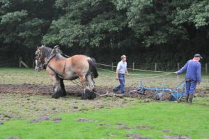 Kinderboederij beschermt dieren tegen hongerige wolf2