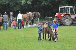Kinderboederij beschermt dieren tegen hongerige wolf3