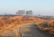 Grenspark Kalmthoutse Heide - Nationaal Park Vlaanderen