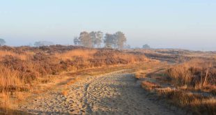 Grenspark Kalmthoutse Heide - Nationaal Park Vlaanderen