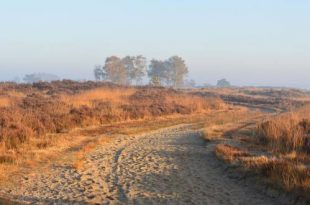 Grenspark Kalmthoutse Heide - Nationaal Park Vlaanderen