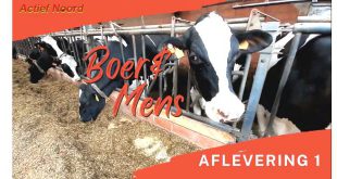 Boer & Mens