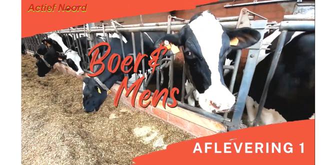 Boer & Mens