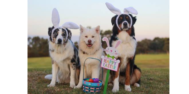 Chocolade paaseitjes? Laat je hond ze niet vinden!