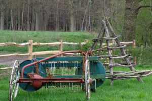 Mickhoeve, oudste boerderij van Brasschaat opent deuren4
