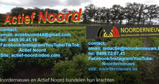 Noordernieuws en Actief Noord bundelen hun krachten