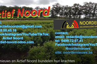 Noordernieuws en Actief Noord bundelen hun krachten