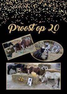 Stichting Manegepaardenpensioenfonds organiseert open dagen1
