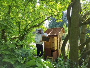 Ambassadeur Slovenië plant boom voor bijen in Arboretum Kalmthout2