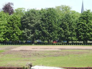 Hemelweide in gemeentepark herschapen in 'patattenveld'2