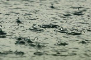 Gratis digitale infosessie opvang en hergebruik hemelwater op 16/05