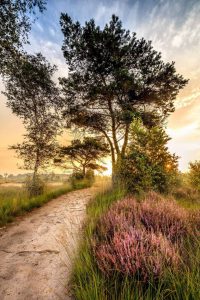 Eensgezindheid over sterk samenwerkingsverband Grenspark Kalmthoutse Heide