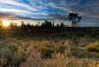 Eensgezindheid over sterk samenwerkingsverband Grenspark Kalmthoutse Heide