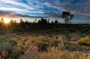 Eensgezindheid over sterk samenwerkingsverband Grenspark Kalmthoutse Heide