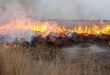 Code geel voor natuur- en bosgebieden in provincie Antwerpen