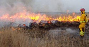 Code geel voor natuur- en bosgebieden in provincie Antwerpen