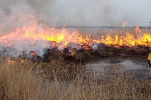 Code geel voor natuur- en bosgebieden in provincie Antwerpen