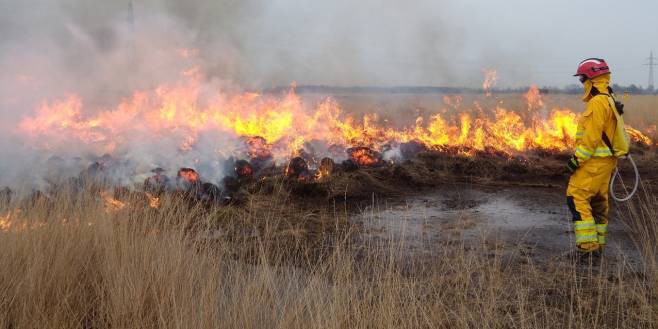 Code geel voor natuur- en bosgebieden in provincie Antwerpen