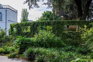 Doorkijkhaag Arboretum Kalmthout valt in de prijzen2
