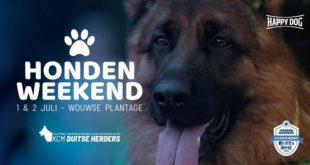 Hondenweekend in Wouwse Plantage wegens succes in herhaling