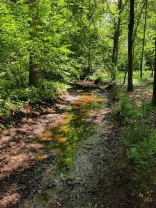 Tijdelijke uitbreiding onttrekkingsverbod onbevaarbare waterlopen2