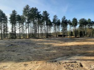 Bosbeheer door het ANB in ‘Franse Heide’ en ‘Beltenbos’2