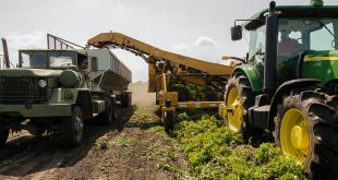 werken in de agri sector