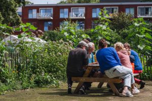 Vrijwilligers en OCMW-cliënten tuinieren samen in 'Den Hof'3