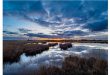 Ontdek 'Onze GroenRand-natuur': Kalmthoutse Heide