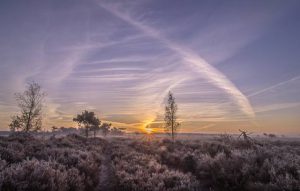 Ontdek 'Onze GroenRand-natuur': Kalmthoutse Heide