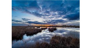 Ontdek 'Onze GroenRand-natuur': Kalmthoutse Heide