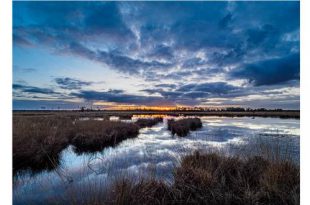 Ontdek 'Onze GroenRand-natuur': Kalmthoutse Heide