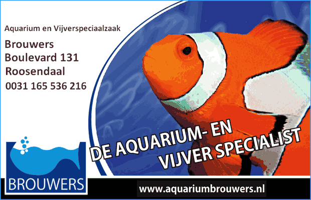 Zoetwater en zoutwater Aquaria - Brouwers Roosendaal