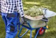 Brasschaat geeft premies voor ontharden van je grond