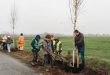 Leerlingen van basisschool 't Kantoor helpen bomen planten in naburige Berkendreef