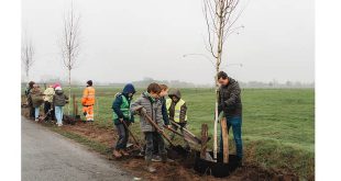 Leerlingen van basisschool 't Kantoor helpen bomen planten in naburige Berkendreef